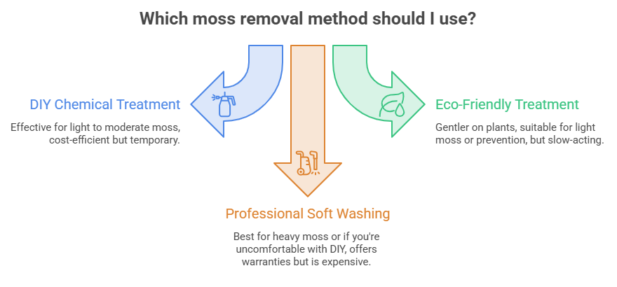 How to Stop Moss on Your SF Roof — San Francisco Roof Moss Removal 3 visual selection 1 1